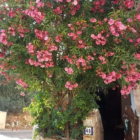 Bilocale Il Geraneo Holiday home *